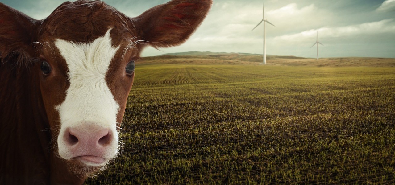 świadectwo energetyczne co to jest